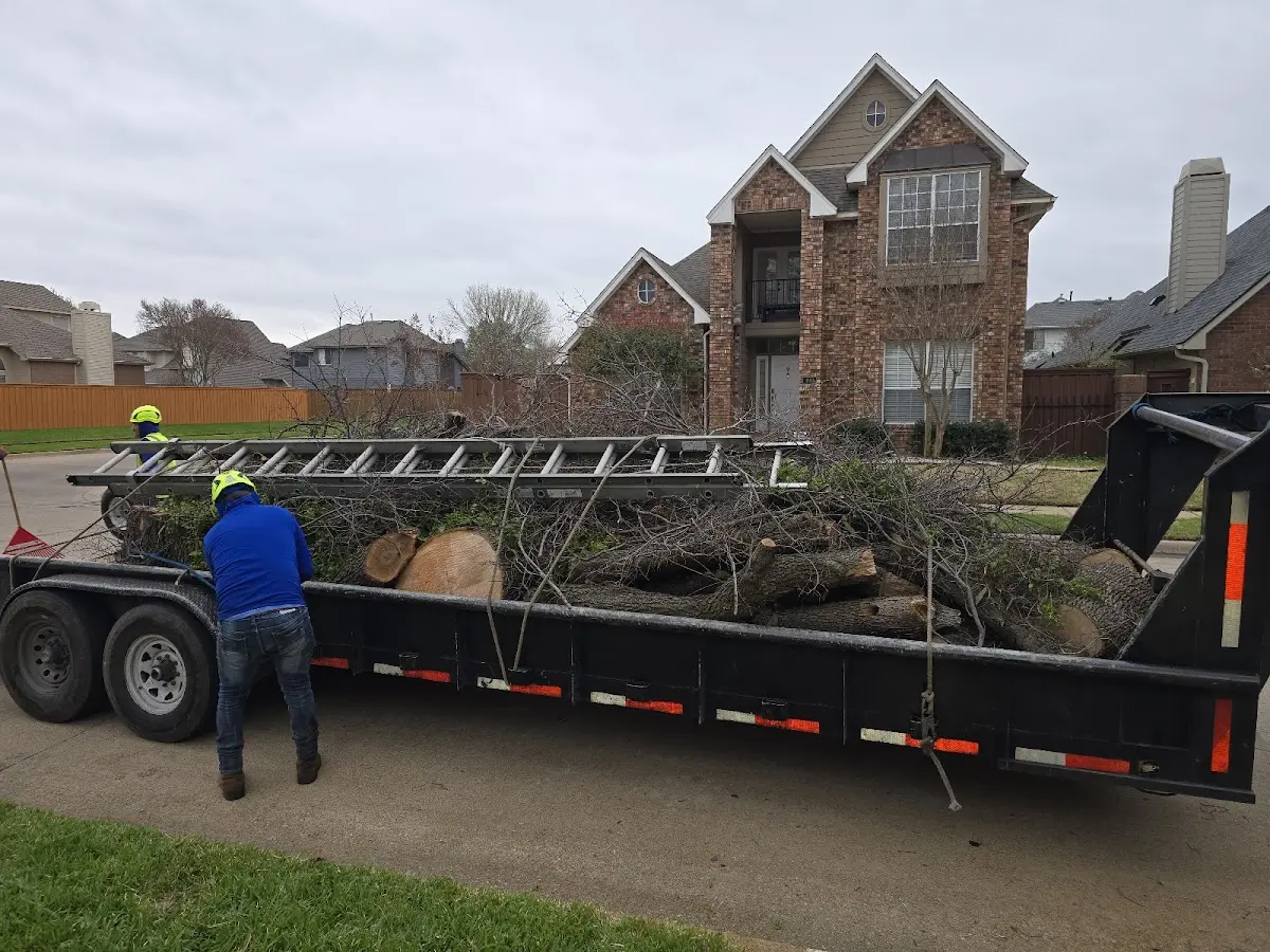 Expert Tree Fertilization with proper safety equipment in Speedwell